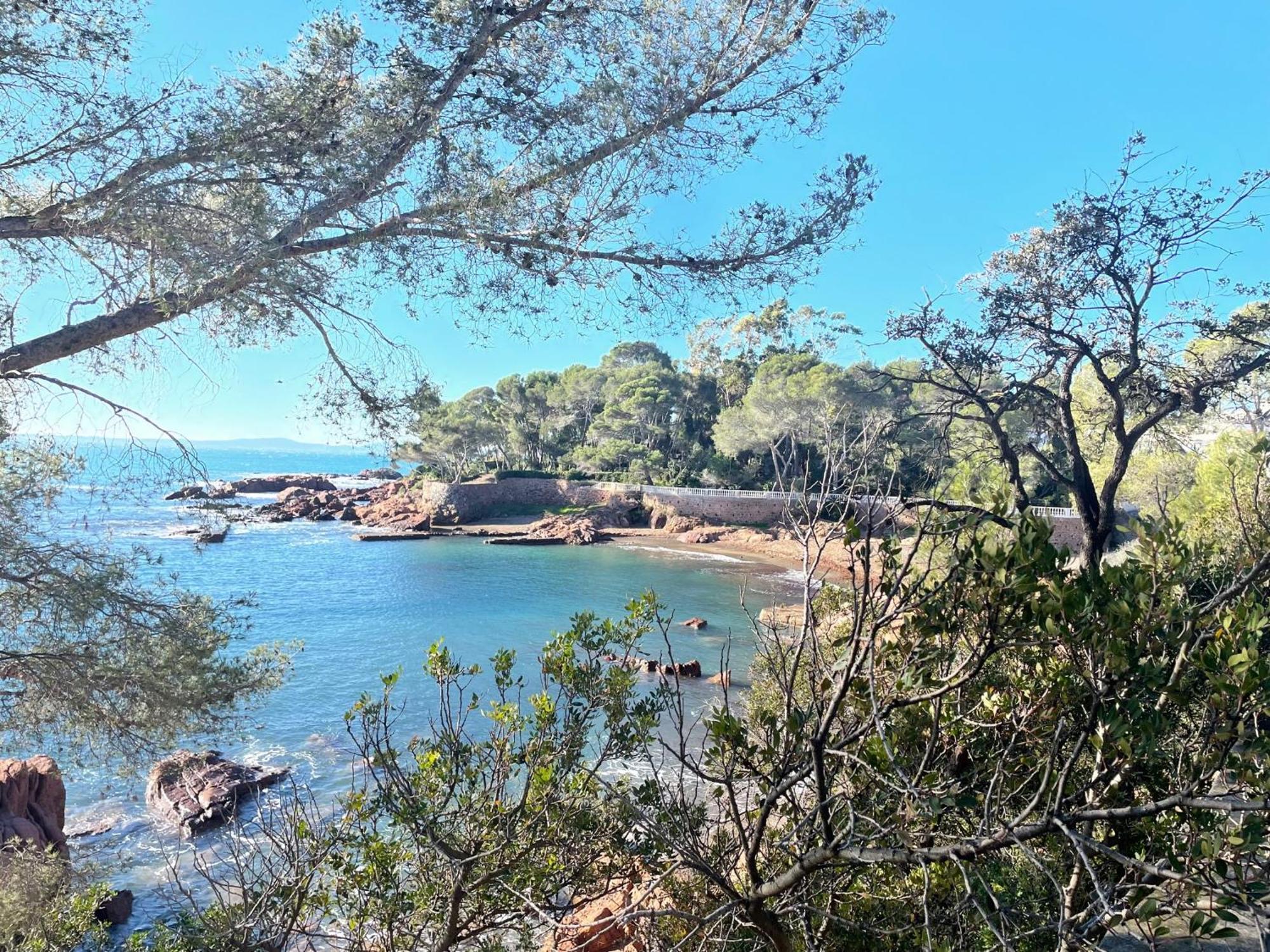 2 Pieces Saint Raphael Renove, Classe 4 Etoiles, 100 M Plages, Piscine, Tennis, Parc, Terrasse, Jardin Privatif Eksteriør billede