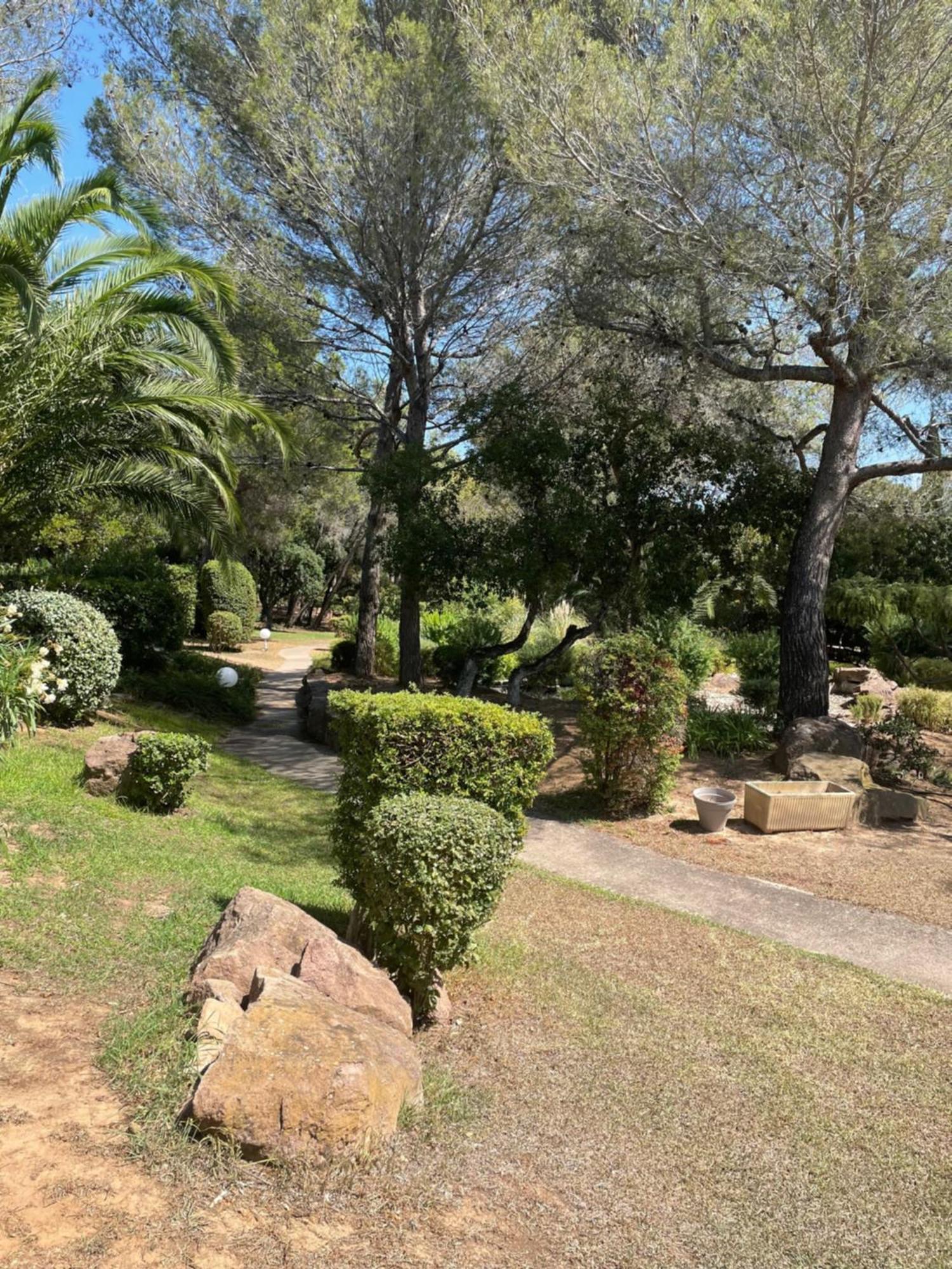 2 Pieces Saint Raphael Renove, Classe 4 Etoiles, 100 M Plages, Piscine, Tennis, Parc, Terrasse, Jardin Privatif Eksteriør billede